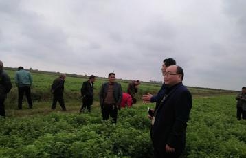 市政法委驻村工作队带领镇平县玉都街道刘家岗村贫困户参观考察艾产业